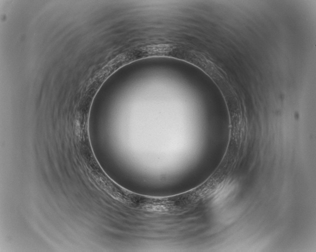 X0000054370655200507291048