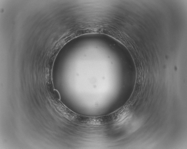 X0000054370656200507291048