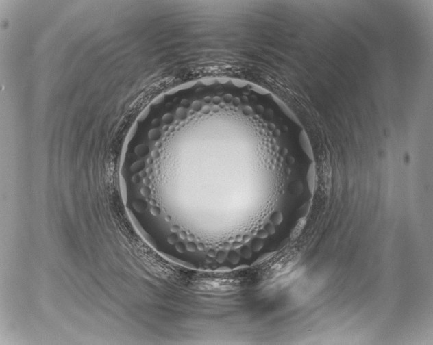 X0000054370657200507291048