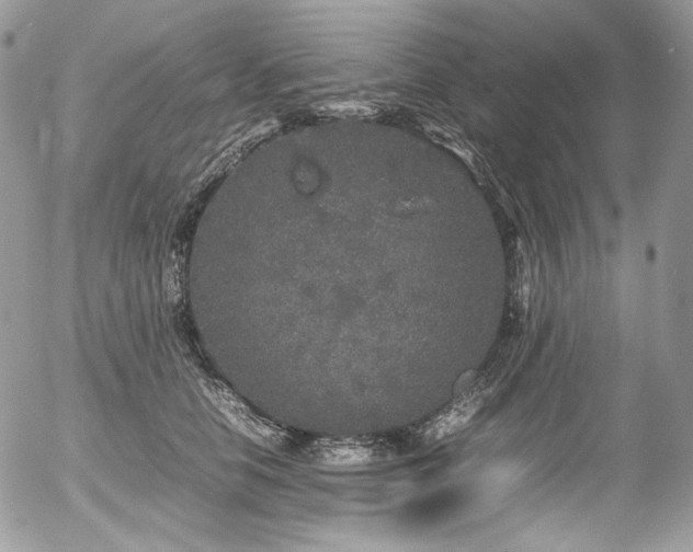 X0000054370658200507291048