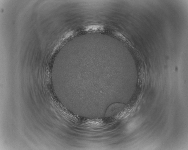 X0000054370659200507291048