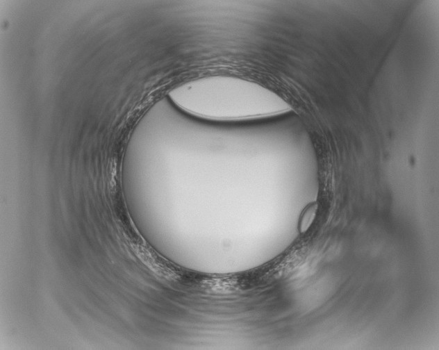 X0000054370660200507291048