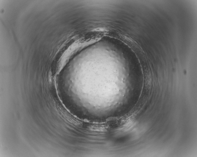 X0000054370661200507291048