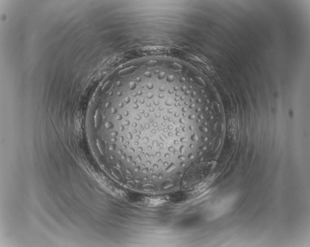 X0000054370662200507291048