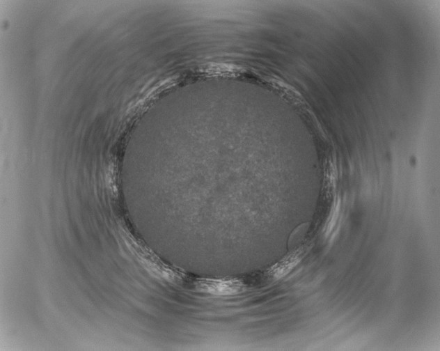 X0000054370663200507291048