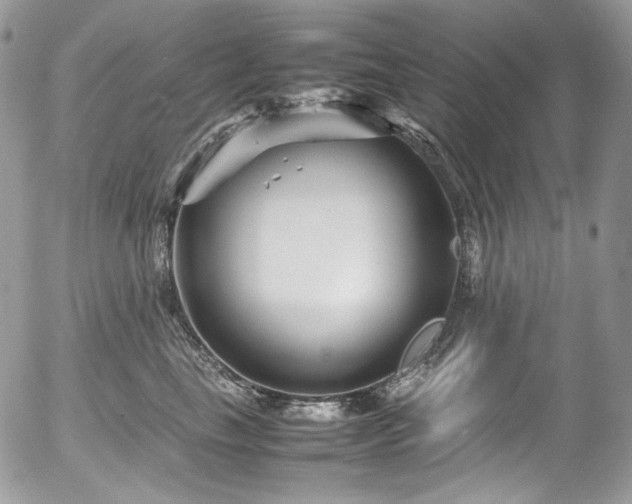 X0000054370665200507291048