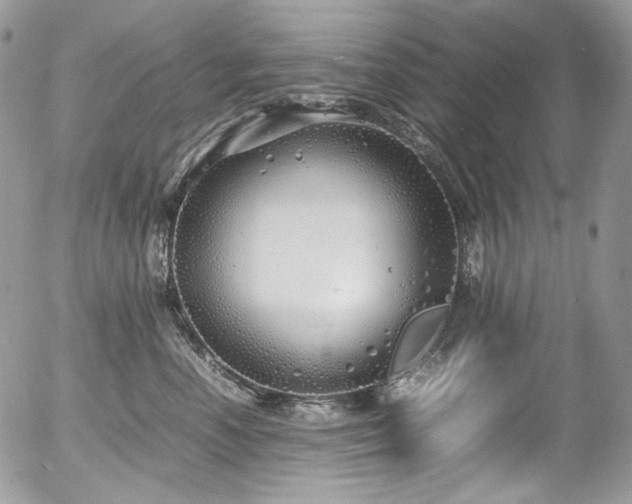 X0000054370666200507291048