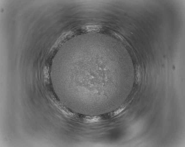 X0000054370667200507291048