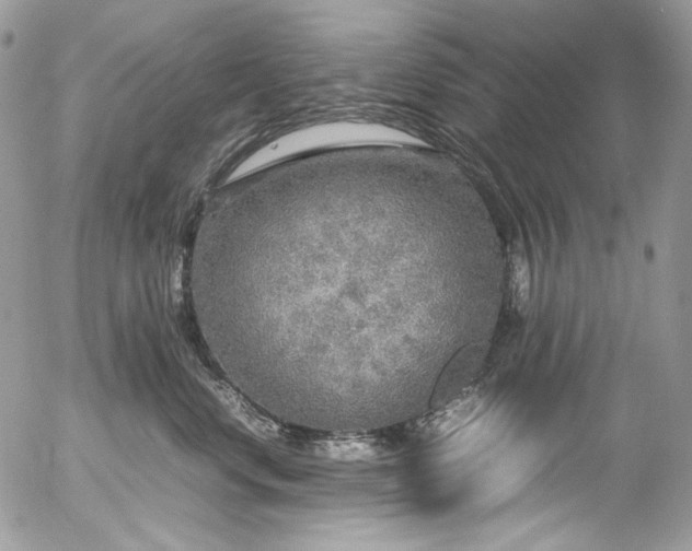 X0000054370668200507291048