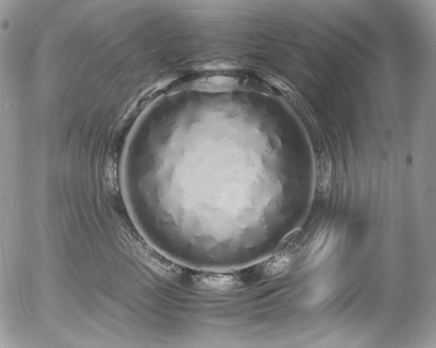 X0000054370669200507291048