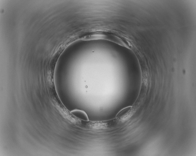 X0000054370670200507291048