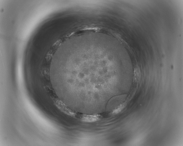 X0000054370671200507291048