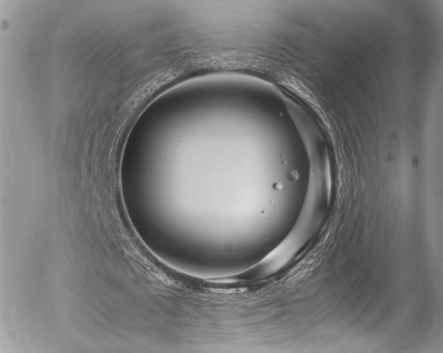 X0000054370673200507291047