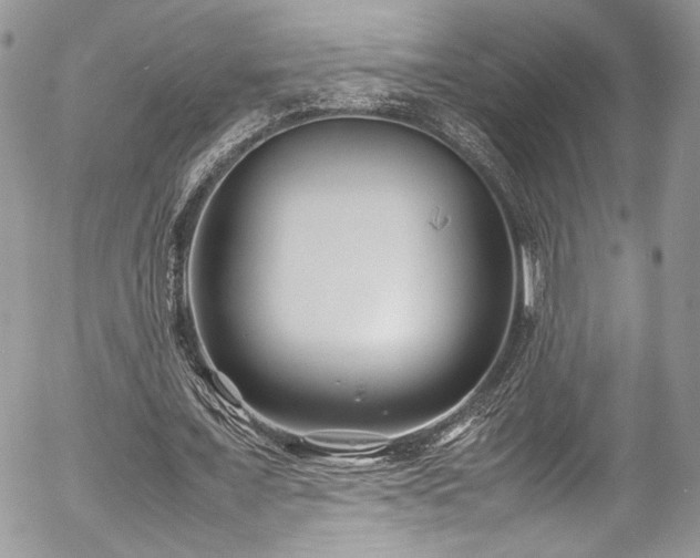 X0000054370675200507291047