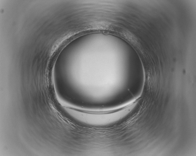 X0000054370676200507291047