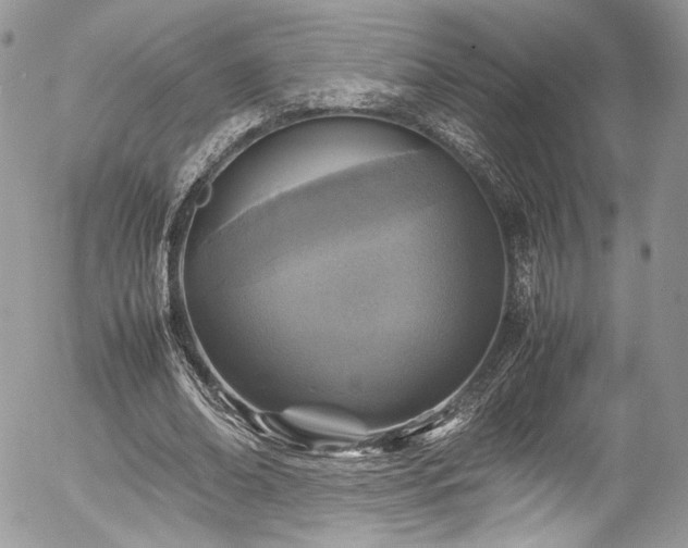 X0000054370678200507291047