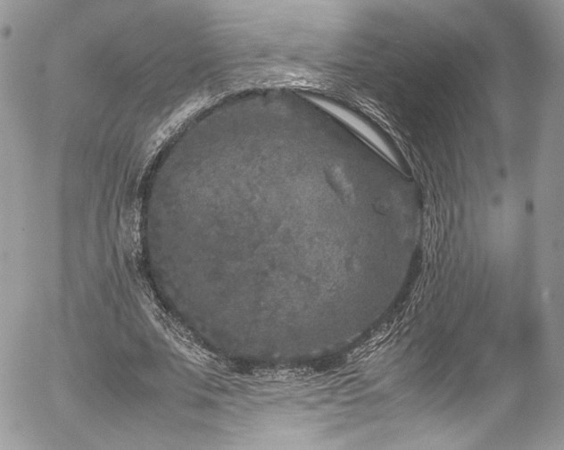 X0000054370679200507291047