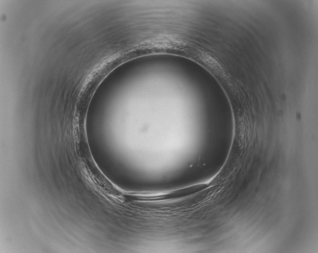 X0000054370680200507291047