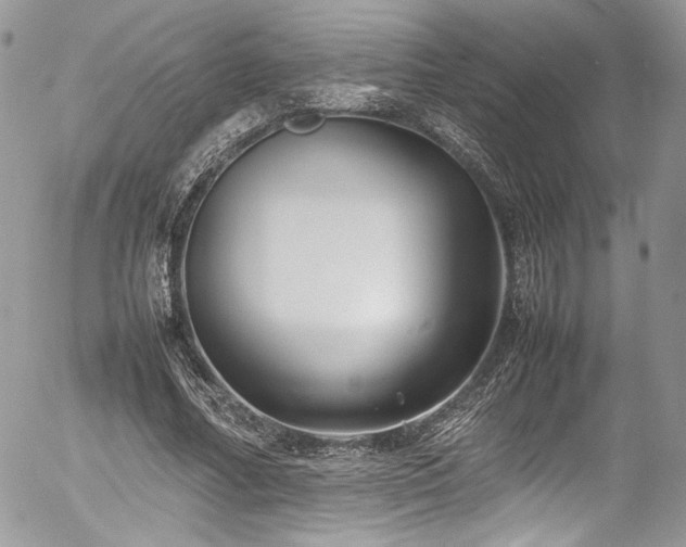 X0000054370682200507291047