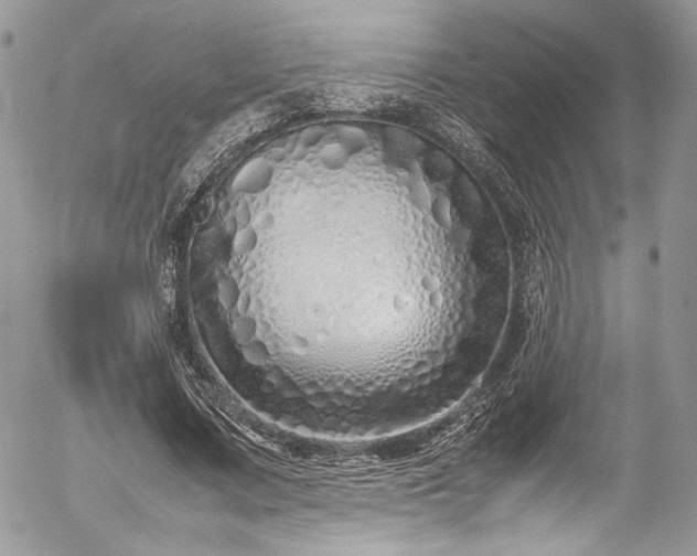 X0000054370683200507291047