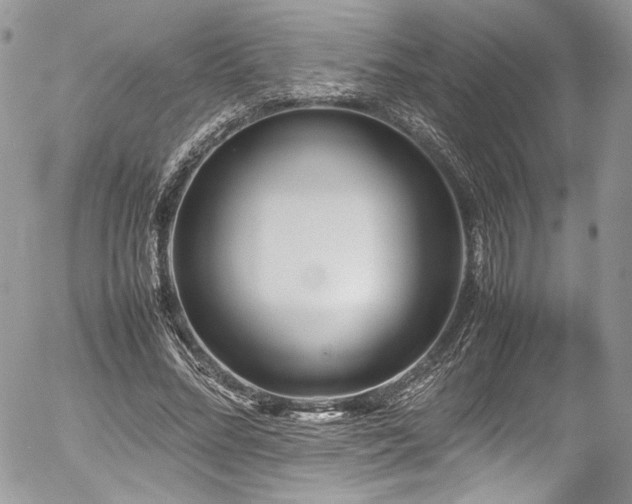 X0000054370684200507291047