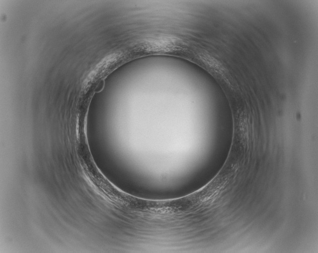 X0000054370686200507291047