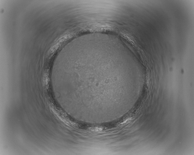 X0000054370687200507291047