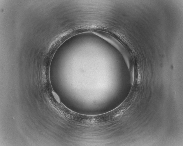 X0000054370688200507291047