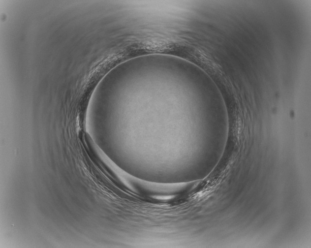 X0000054370689200507291047