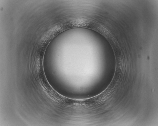 X0000054370690200507291047