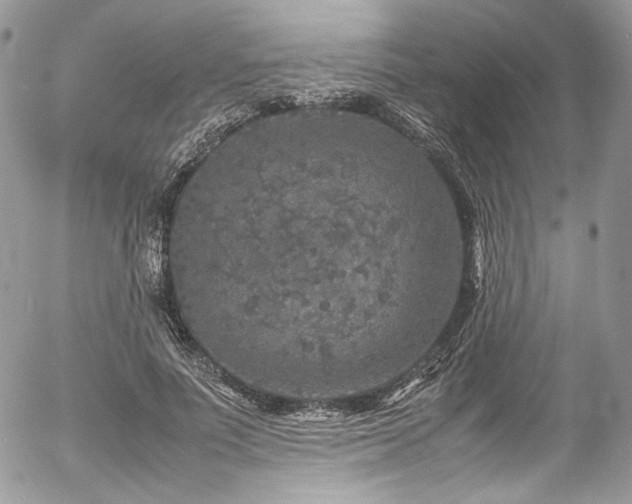 X0000054370691200507291047