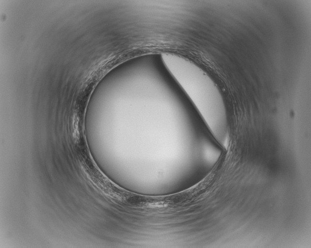 X0000054370692200507291047