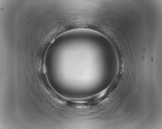 X0000054370693200507291047