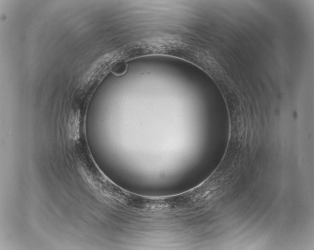 X0000054370694200507291047