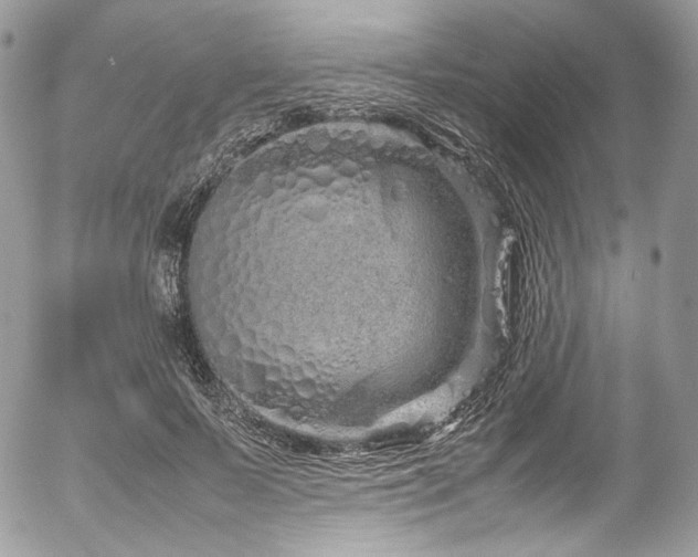 X0000054370695200507291047