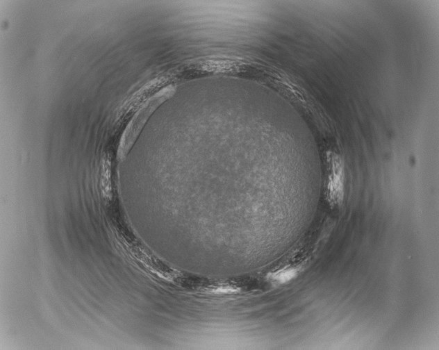 X0000054370696200507291047