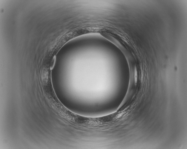 X0000054370697200507291047