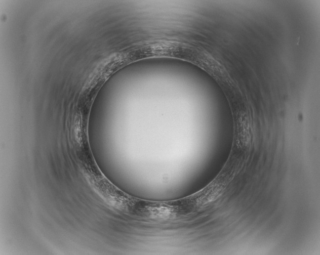 X0000054370698200507291047