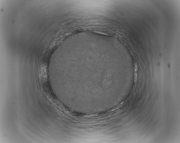 X0000054370699200507291047