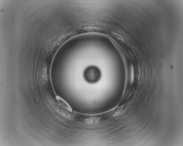 X0000054370700200507291047