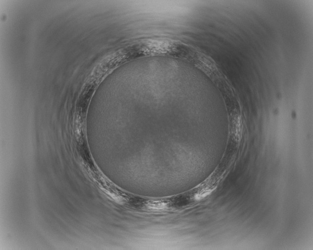 X0000054370701200507291047