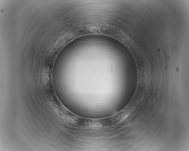 X0000054370702200507291047