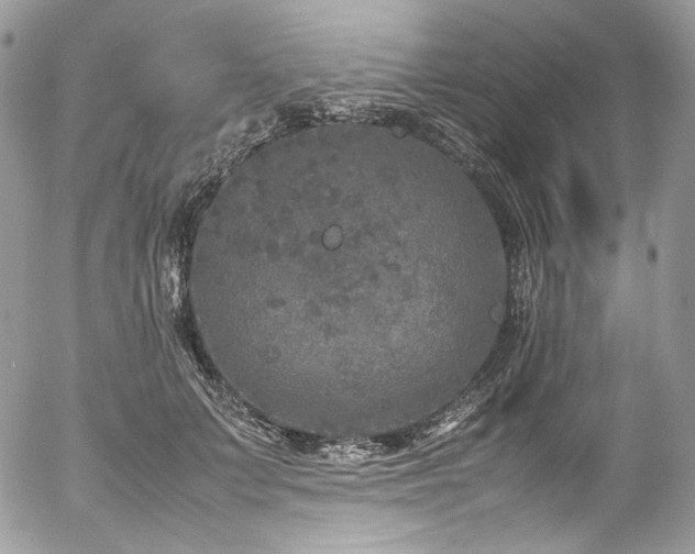 X0000054370703200507291047