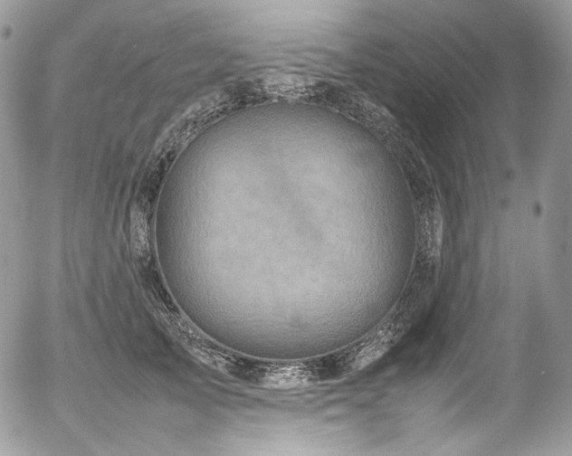 X0000054370705200507291047