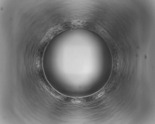 X0000054370706200507291047