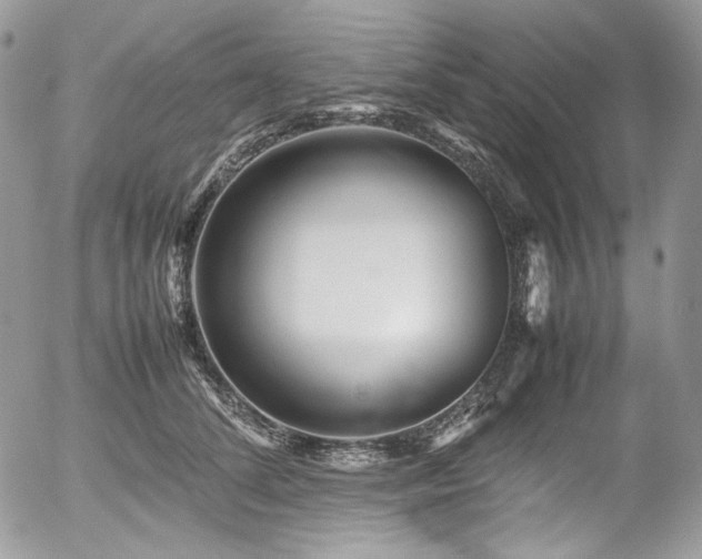 X0000054370708200507291047