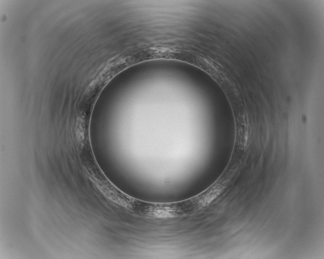 X0000054370710200507291047