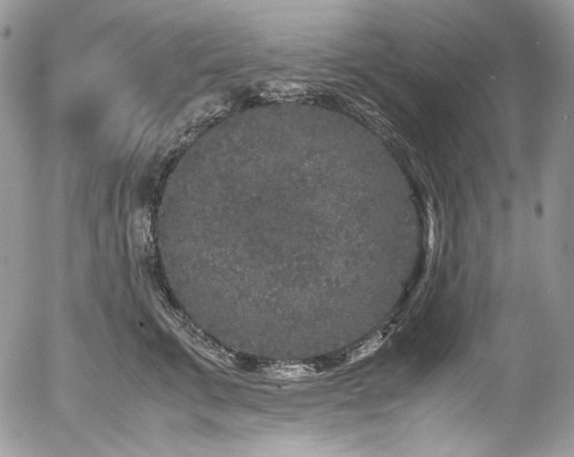 X0000054370711200507291047