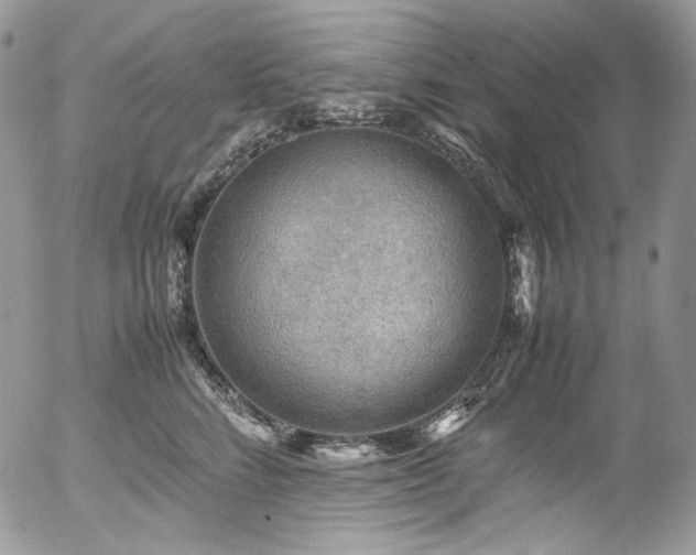 X0000054370712200507291047