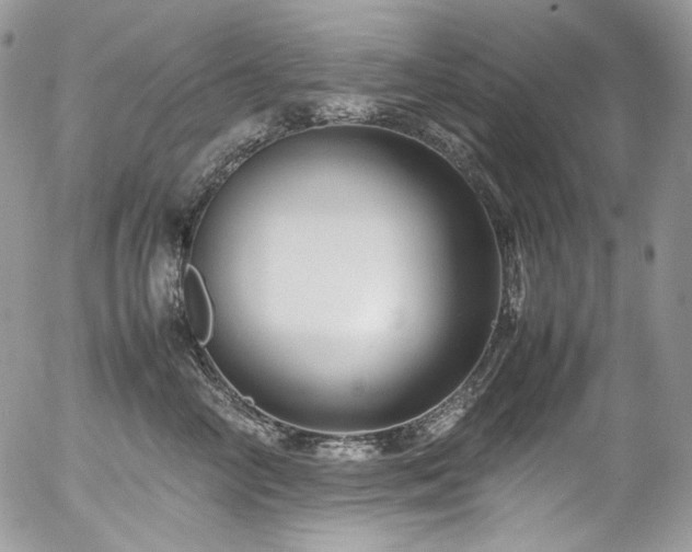 X0000054370714200507291047